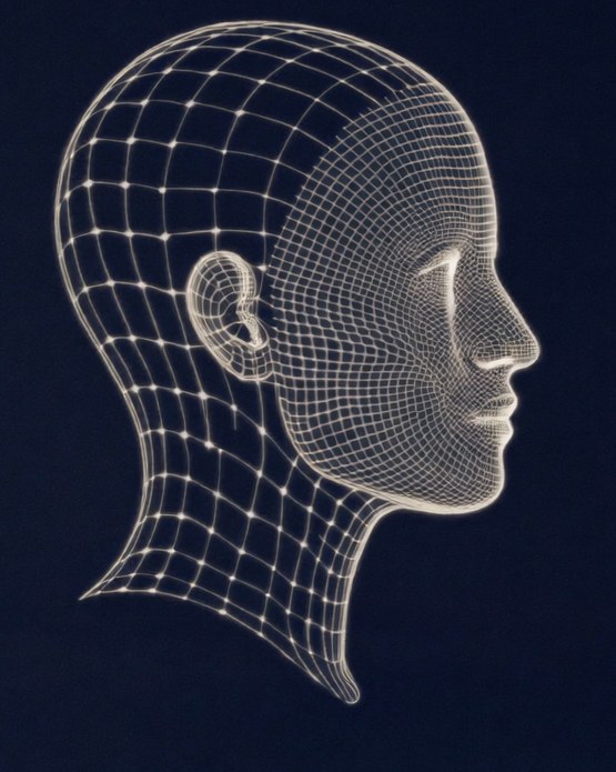 A 3D facial-simulation model — an illustrative preview interface, not a real patient.